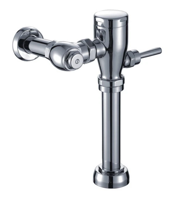 Toilet Flush Valve Exposed Manual